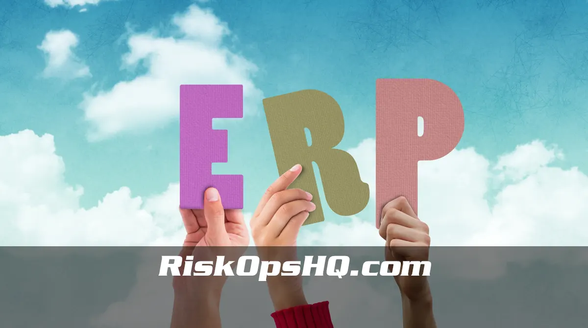 ERP para despachos contables